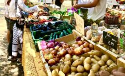 La fête des agriculteurs à la Duranne